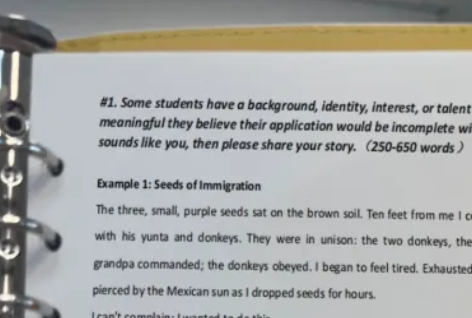 美本申請(qǐng)材料-美本文書