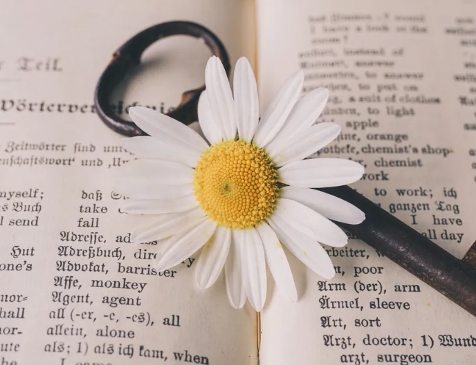 美國留學專業(yè)