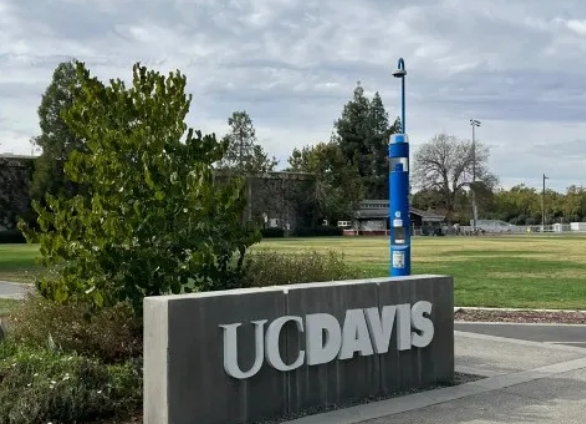 美國心理學(xué)本科公立大學(xué)