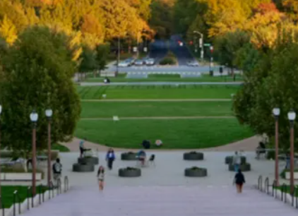 美本申請(qǐng)不定專(zhuān)業(yè)